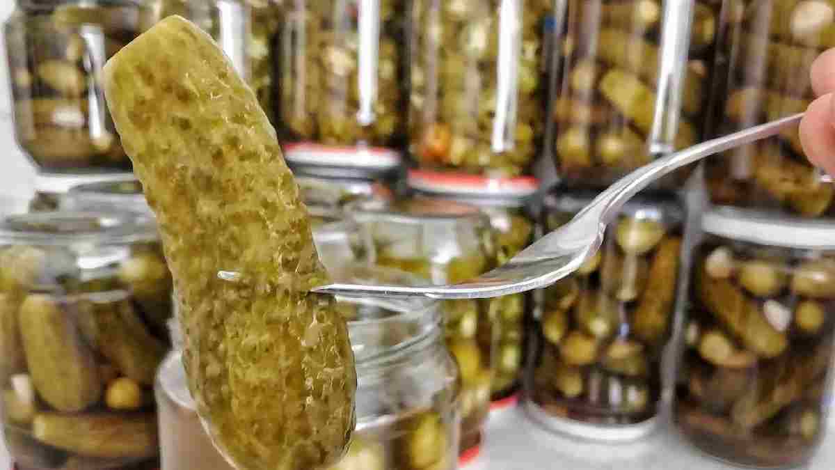 Sırrı ne tuzunda ne de sebzesinde! Kıtır kıtır turşu için bu detaya dikkat edin sofrada keyfine varın