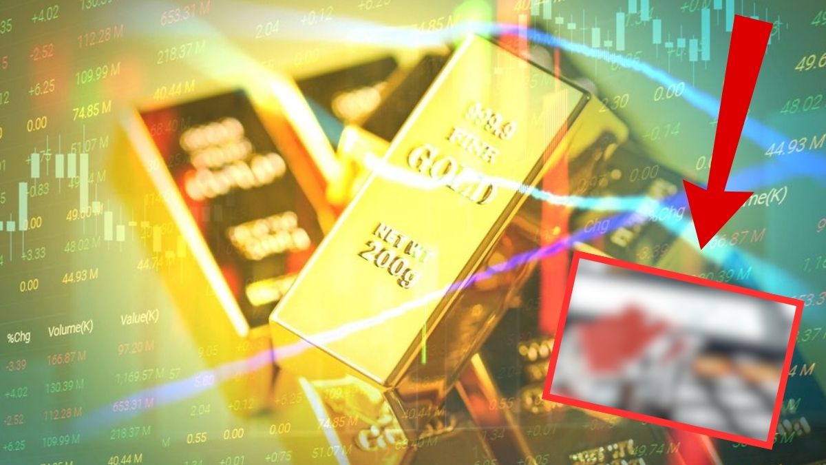 Altından sonra en kârlı yatırım! Ne gümüş, ne mevduat, ne de dolar... Son 7 yılda rekor kırdı