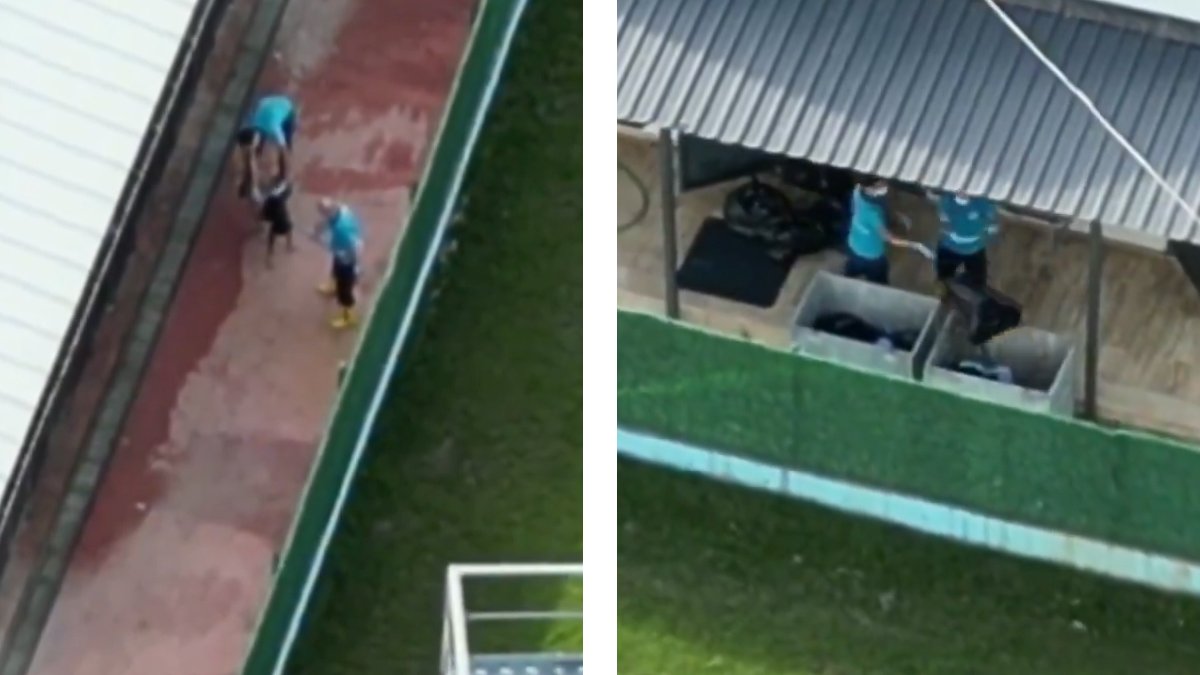 Onlarca kedi ve köpeği iğneyle öldürmüşler: Barınaktaki katliam drone kamerasında