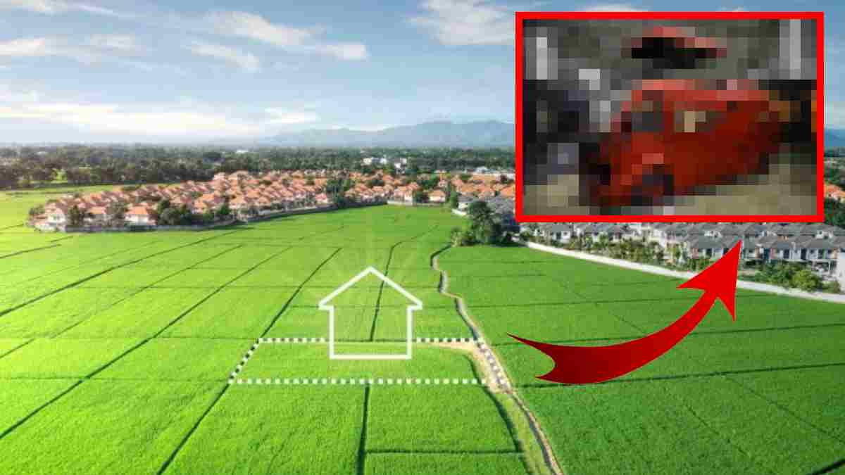 Kiradan bıkıp ev alamayanların tercihi oldu! Ne araba, ne arsa... Kapış kapış bunu alıyorlar