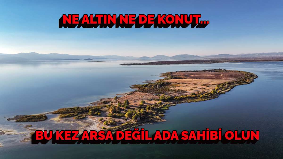 Bu kez satılık daire değil ada! Yatırımcılar oraya akın edecek! O şehirde ada sahibi olabilirsiniz!