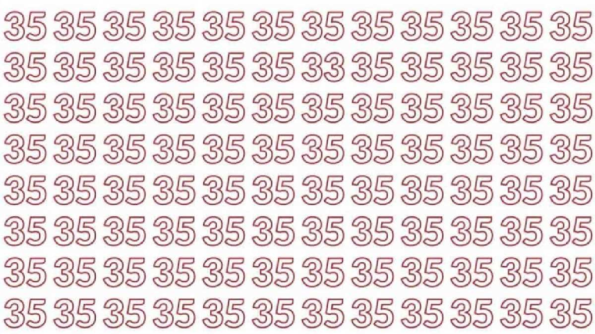 35 sayısını zıt giden 33 sayısını kimse bulamıyor! 8 saniyede bulanı Einstein görse ayakta alkışlar