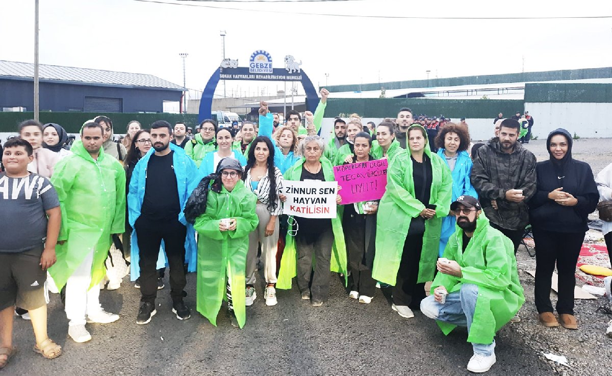 Hayvanseverler Gebze Belediyesi barınağı önünde nöbette: Sorumlular hesap verene kadar burdayız