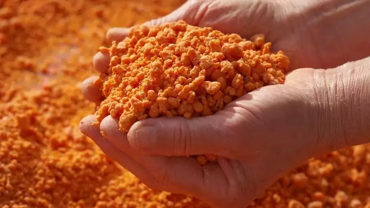 Türkiye'nin en güzel tarhanası hangi ilde yapılıyor? Yaş tarhana, sakızlı tarhana, top tarhana... Her tabağı şifa deposu