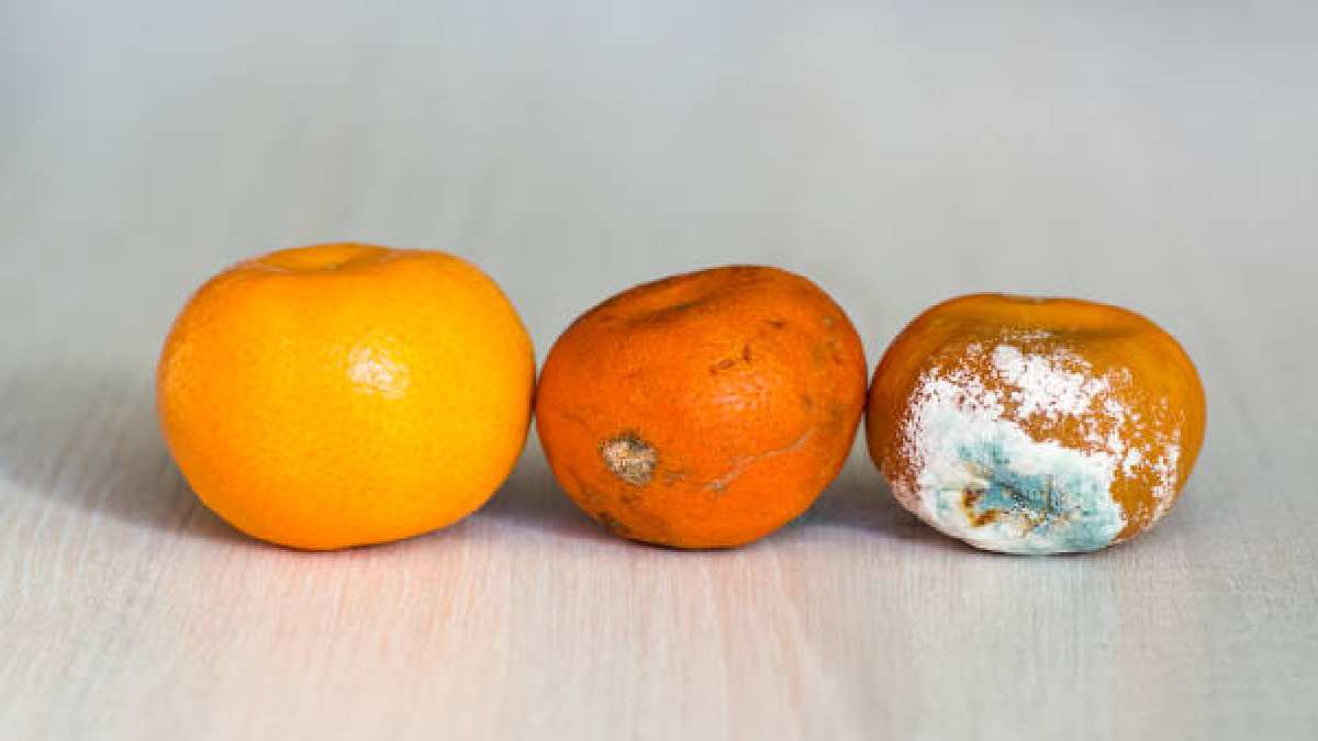 Mandalinalar hızlı küfleniyorsa bu yöntemi deneyin! Bu şekilde saklayınca günlerce taptaze kalıyor