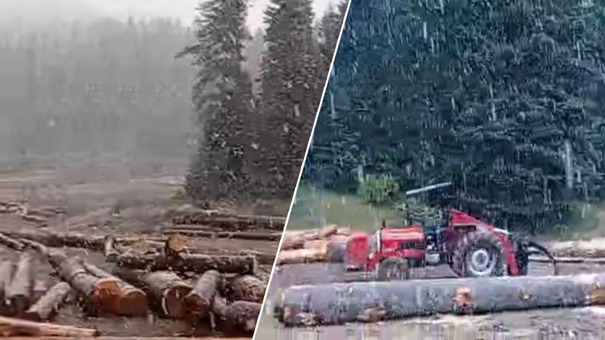 Mevsimin ilk karı Bartın'a düştü