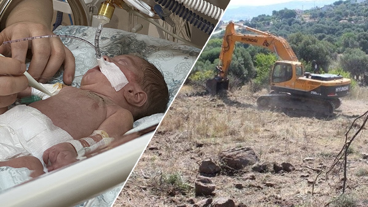 Yenidoğan çetesi skandalında şok detay: Bebekler ve ağaçlar aynı şirketin kurbanı oldu