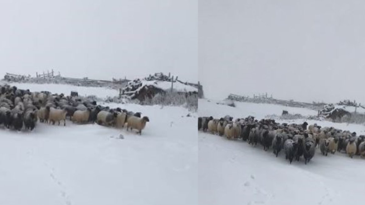 Orada ekim değil ocak ayı yaşanıyor! Kar aniden bastırdı