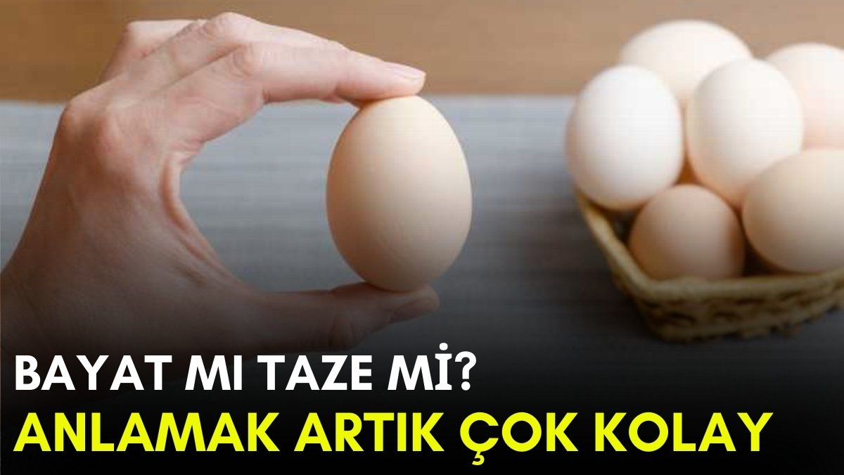 Yumurtanız taze mi bayat mı? Artık anlamak çok kolay: Cep telefonu fenerini tutun mucizeye tanık olun