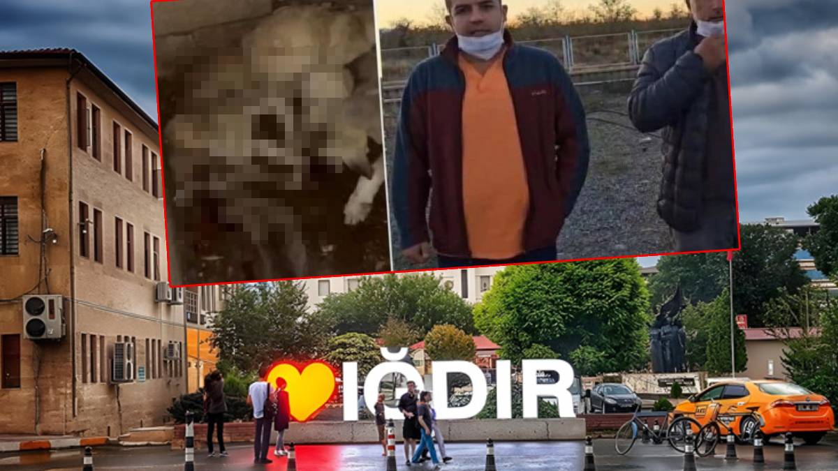 Iğdır Belediyesi'ne ait barınağa ölü köpekler bırakıldı: Belediye suç duyurusunda bulunacak