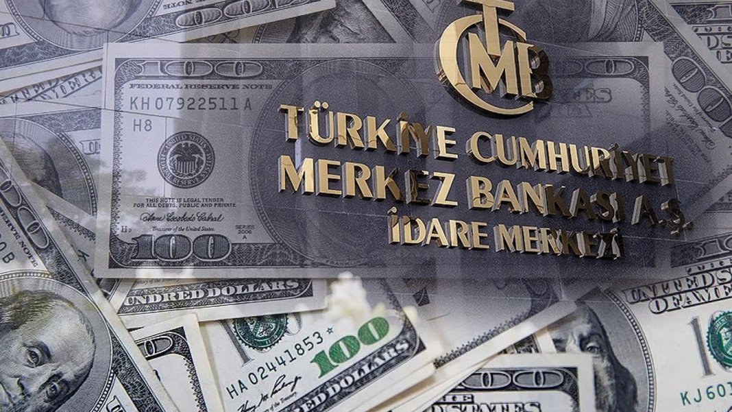 Merkez Bankası dövizde frene bastı: Döviz alımı 22.5 milyar dolardan 5.3 milyar dolara kadar düştü