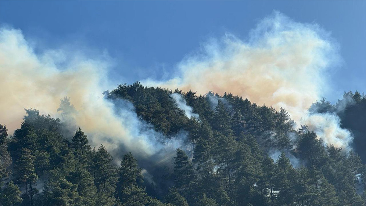 Kahramanmaraş'taki orman yangını 4 gündür devam ediyor