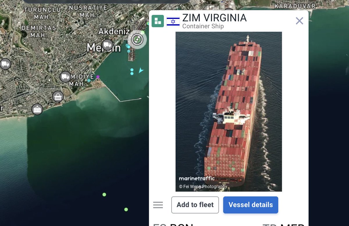 Mersin'den yükünü alan ZIM Virginia gemisi, Aşdod Limanı'na ulaştı: İsrail'le göstere göstere ticaret