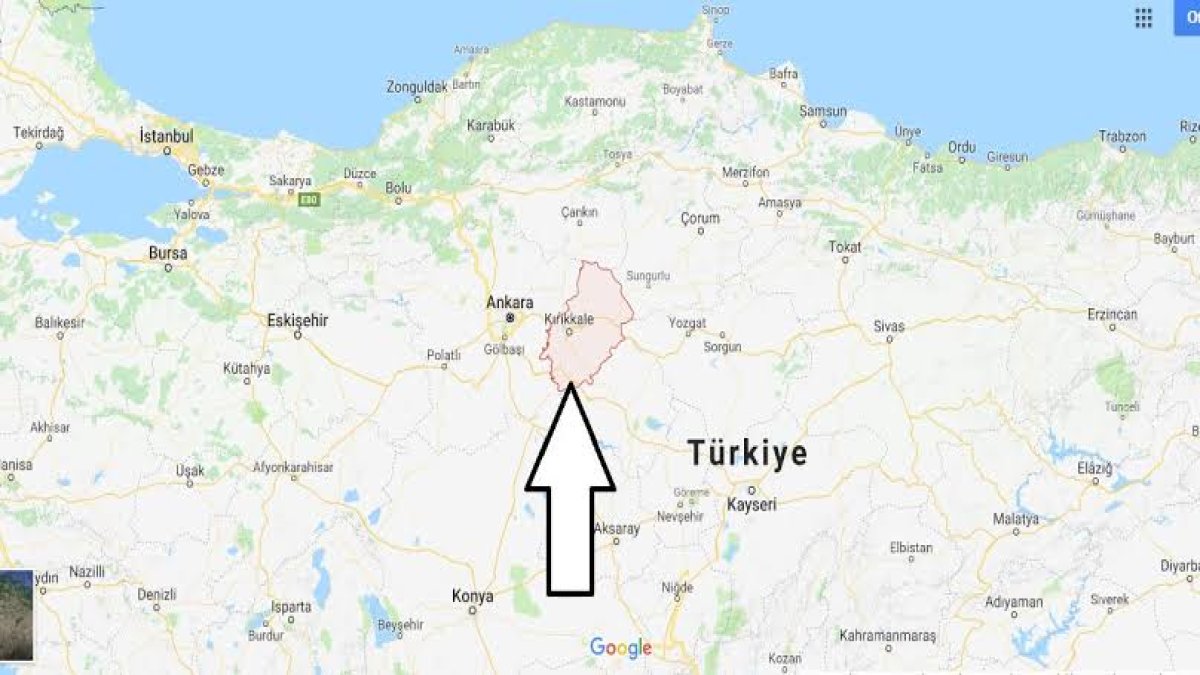 Dünyanın en şifalı bitkisi o ilimizde yetişiyor: Hasadı başladı, getirisi büyük