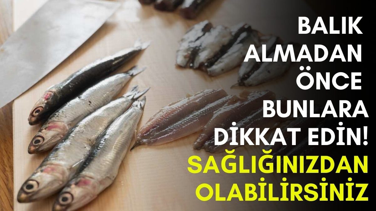 Balıkçılar bile bilmiyor! Bayat balık buradan hemen anlaşılıyormuş, uzmanlar uyardı: Böyle görünüyorsa sakın almayın