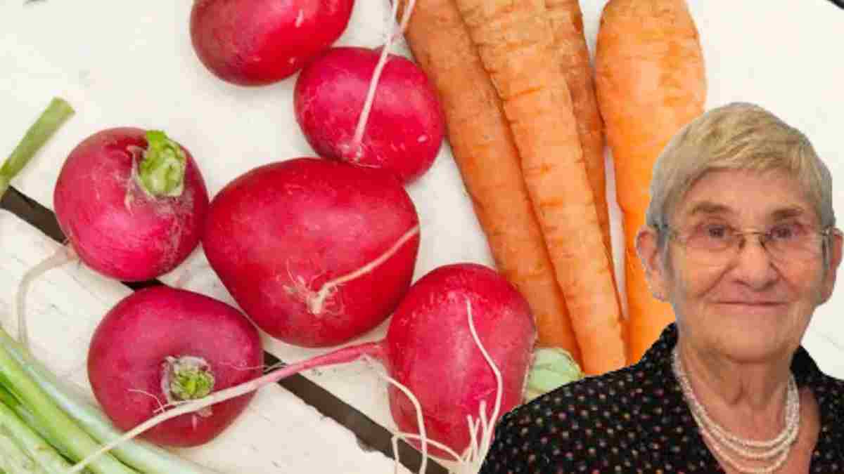 Havuç ve turpu beraber tüketin! Canan Karatay ısrarla tavsiye etti: Ekmeğin yerini alıyor, tok tutuyor...