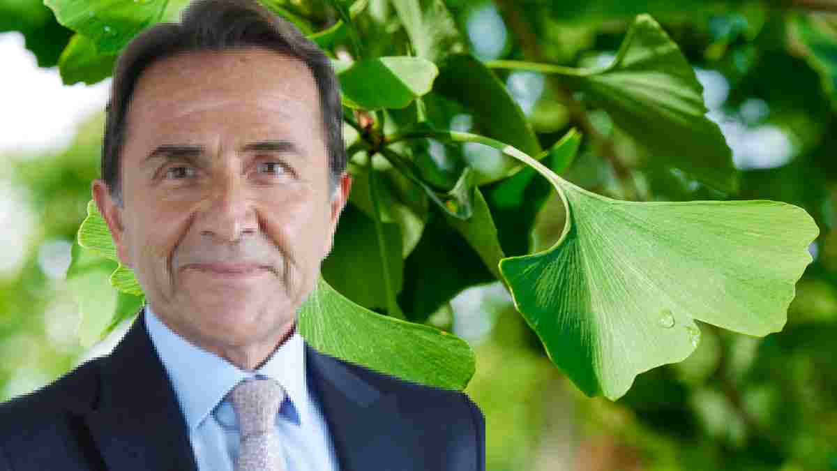 Atom bombasından bile sağ çıkan bitki! Osman Müftüoğlu da önerdi: Baş dönmesi ve kulak çınlamasına iyi geliyor