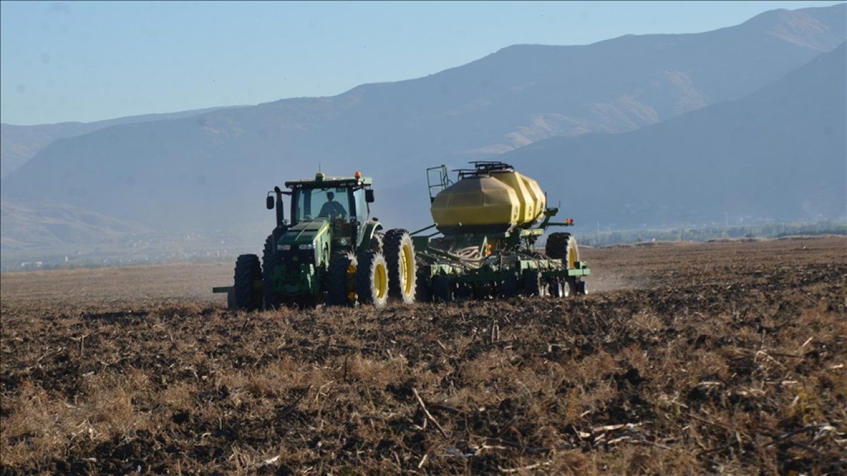TÜİK: Buğday, arpa, çavdar, yulaf ve mısır üretimi azaldı