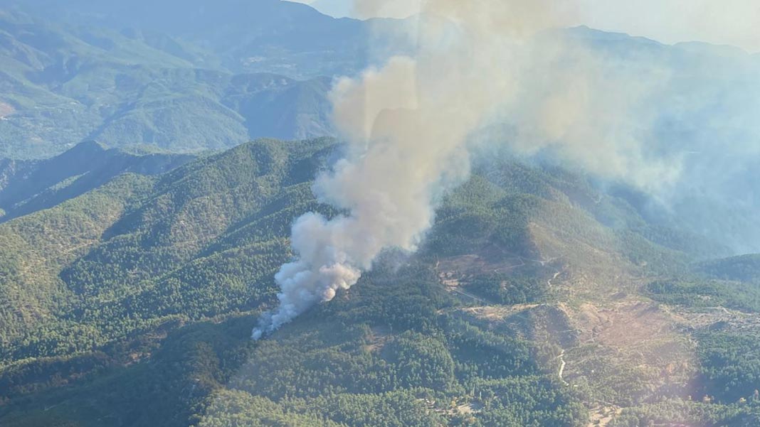 Muğla'da orman yangını