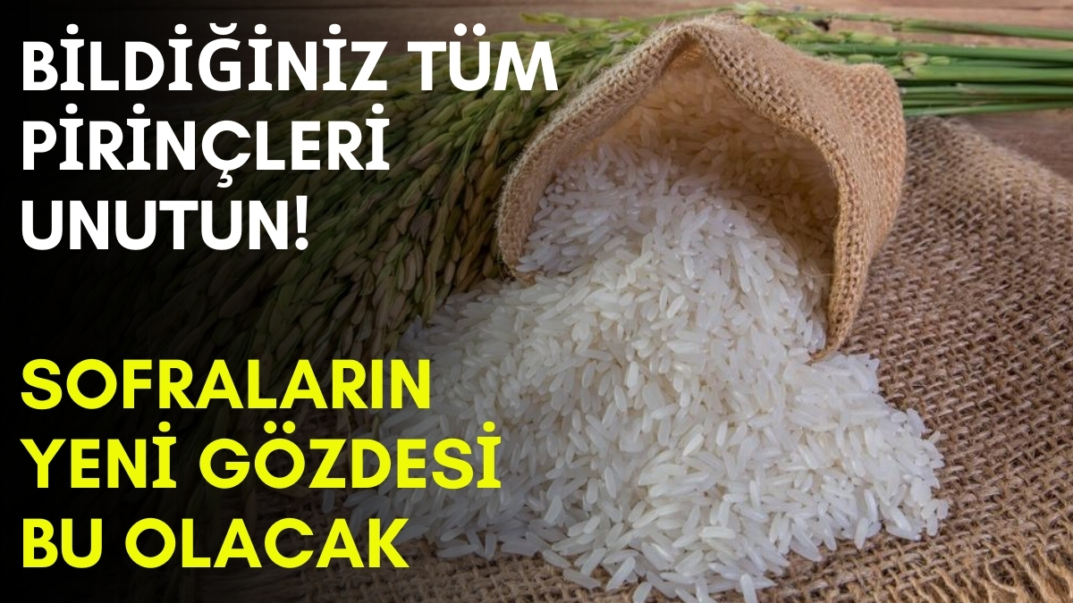 Ne Basmati ne Osmancık! Türkiye'nin en meşhur pirinci Karadeniz'den çıkıyor: Uzun süre dursa yine bozulmuyor