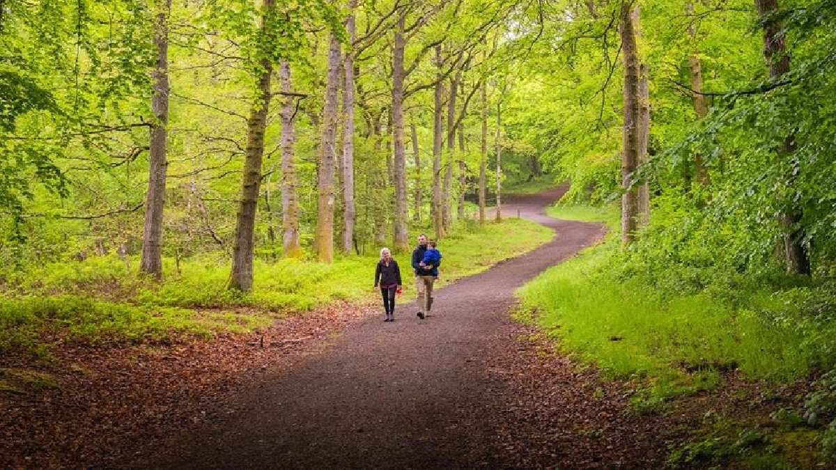 O uygulama 81 ilde resmen sona erdi! Tarım ve Orman Bakan Yardımcısı Polat, resmen duyurdu