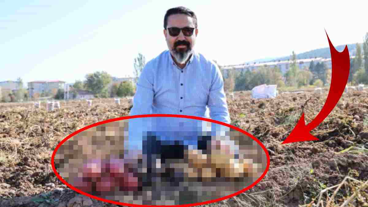 Anadolu’da hasadın en renklisi başladı! El birliğiyle çalışıp gelirle öğrencilere burs sağlayacaklar