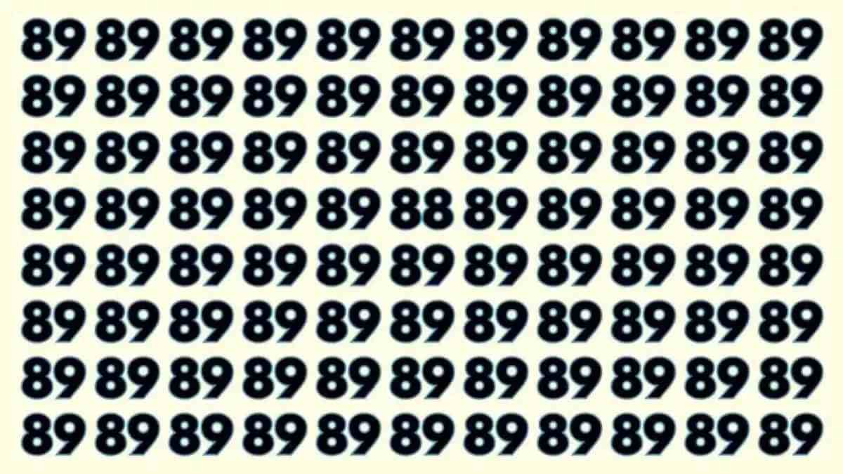 Gözlem yeteneğinizin ne kadar keskin olduğunu test edin! 89’lar arasındaki 88’i saniyeler içinde bulan dahi kabul ediliyor