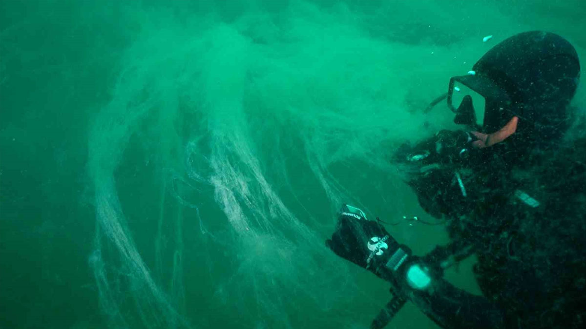 Güney Marmara’da müsilaj alarmı: Deniz yüzeyine 5 metre kaldı