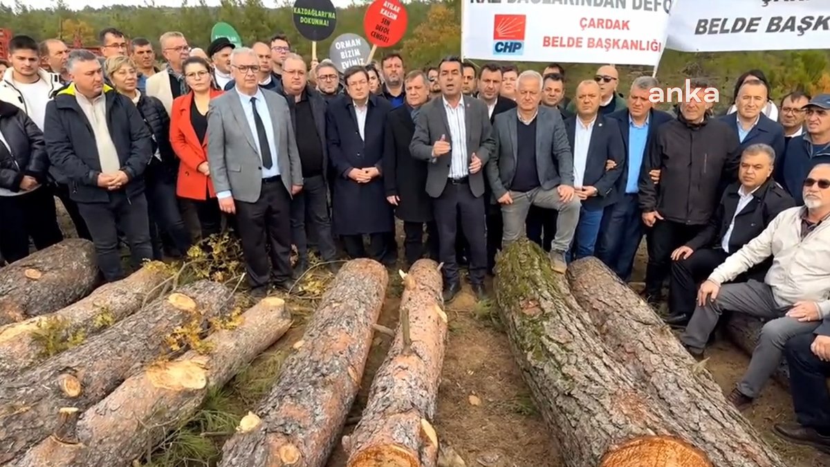Ülkenin ciğerlerine bir darbe daha: Biga'daki ağaçlar maden projesi yüzünden kesiliyor