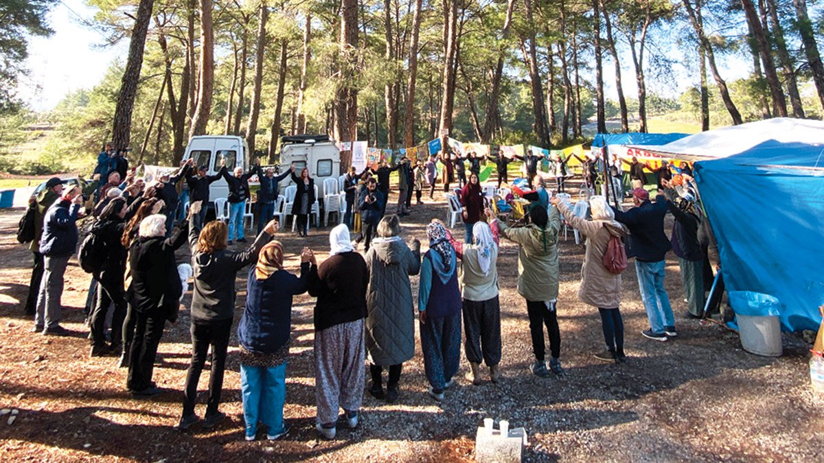 Ağaç nöbeti 'ormanı işgal'miş