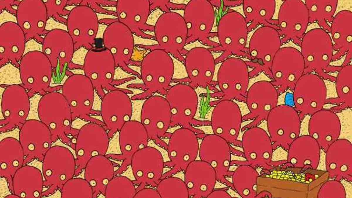 Ahtapotların altında gizli bir balık… Bulmak zeka istiyor, 5 saniyede tamamlayan IQ’sunu kanıtlıyor