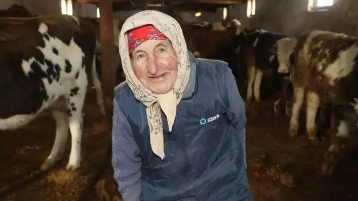 Erzincanlı Dilber Nine’nin azmi "maşallah" dedirtiyor: 79 yaşında hayvancılıkla geçimini sağlıyor