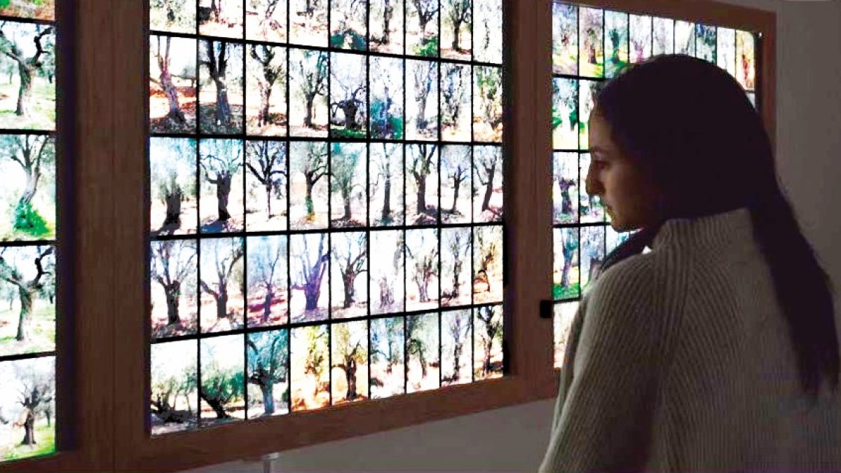 İsrail şiddetinin sessiz şahitleri