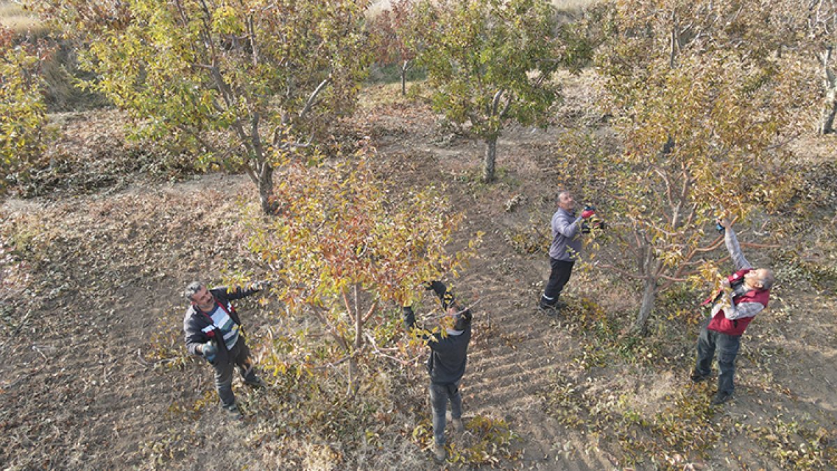 Burası Türkiye'nin en büyük hazinesi! 11 ilden toplanıyor, burada korunuyor: Doğu Anadolu ve Karadeniz'in mirası