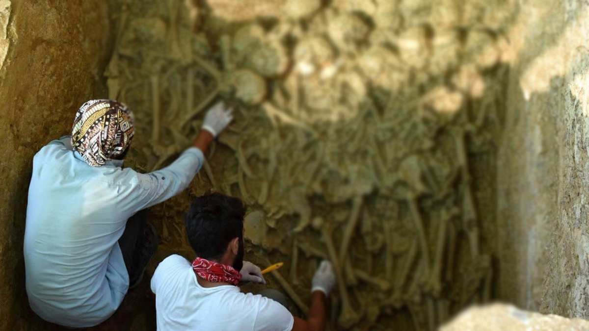 Evinin bodrumuna indi hayatının şokunu yaşadı! 1-2 değil tam 38 tane çıktı! Hemen ekiplere haber verildi