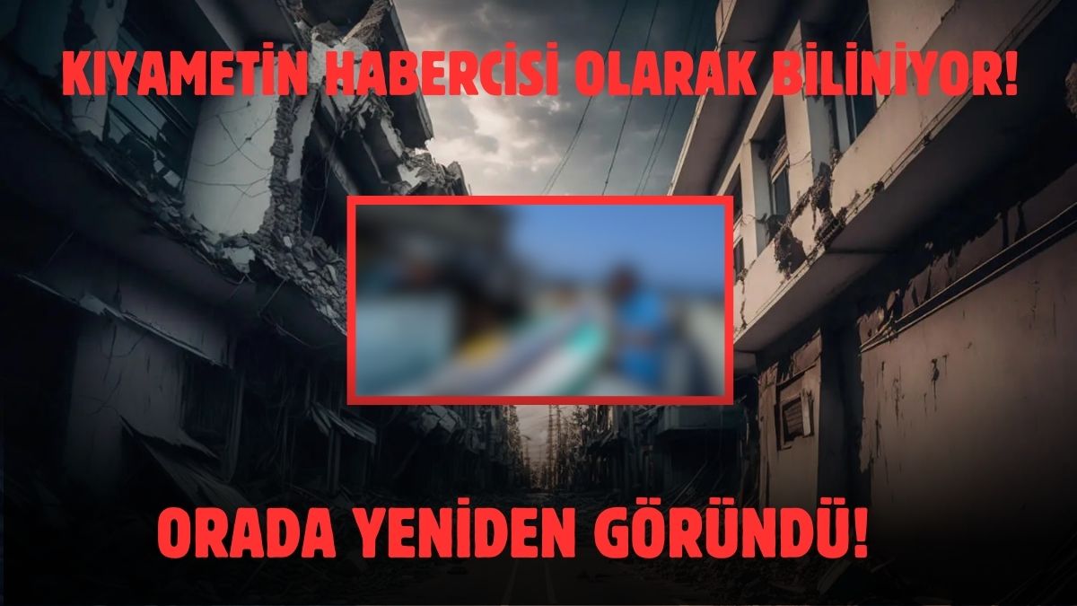 Büyük deprem mi geliyor? Felaketin habercisi olarak biliniyordu, bir kez daha ortaya çıktı