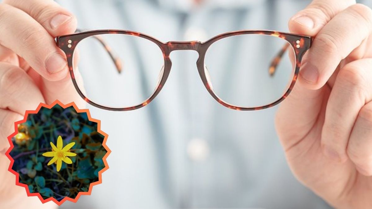 Gözlük kırmak isterken kör olmayın! Halk arasında gözlere faydası biliniyordu uzmanlar uyardı: Kornea nakline kadar götürüyor