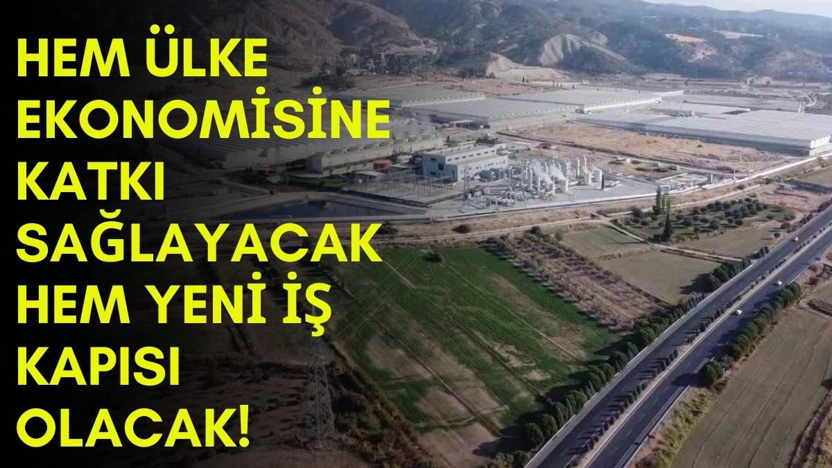 Türkiye'nin ilk jeotermal serası! Yılda 15 bin ton sebze üretiyor, binlerce kişiye iş kapısı oluyor: Ülkemize hayırlı olsun