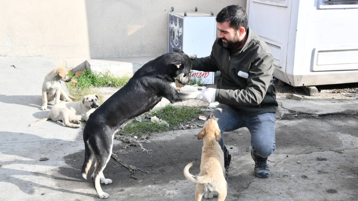 Esenyurt Belediyesi can dostlarımızı unutmuyor