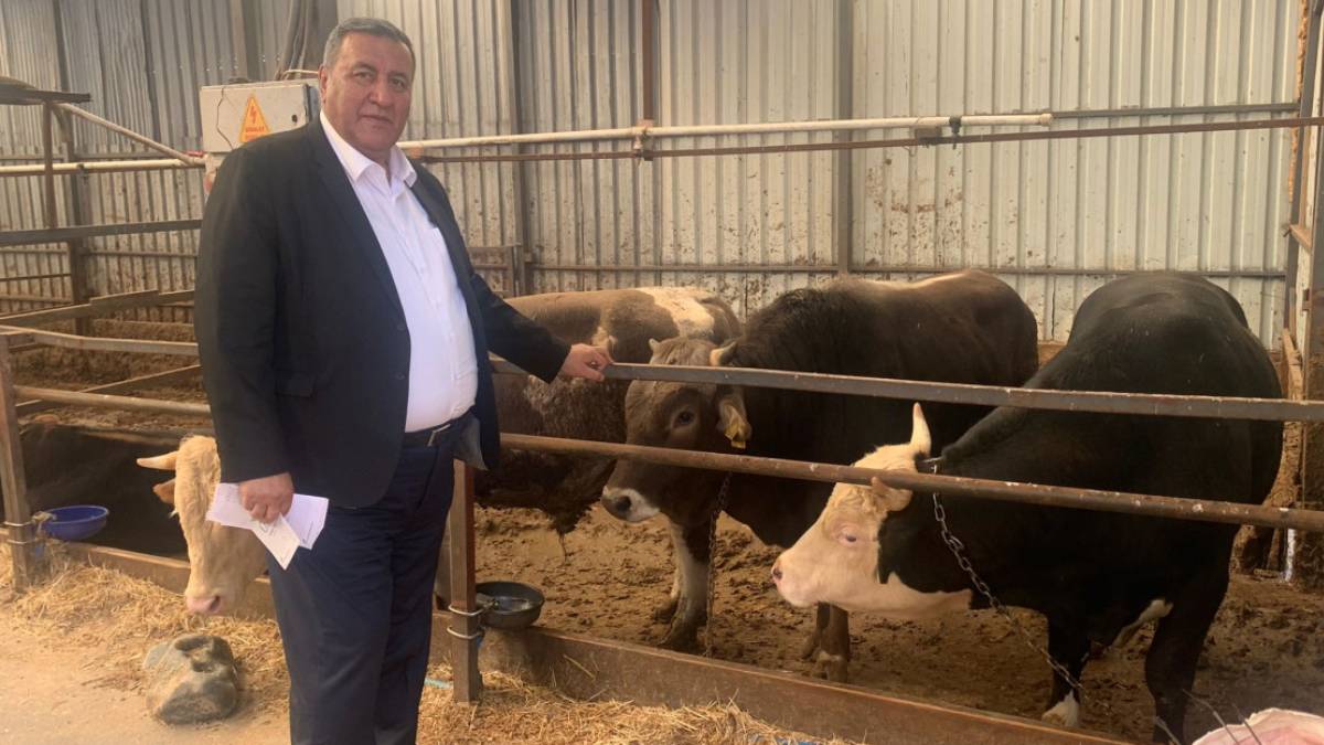 Gürer, 'hayvan ithalatını' Erdoğan'ın sözleri üzerinden değerlendirdi: Çözüm değil, sadece geçici bir önlem