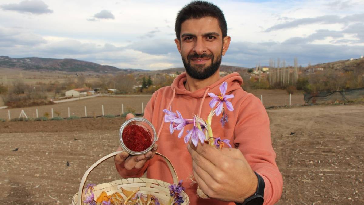‘Çiçekten para mı kazanacaksın’ dediler: Türkiye’nin en büyük safran üreticisi haline geldi