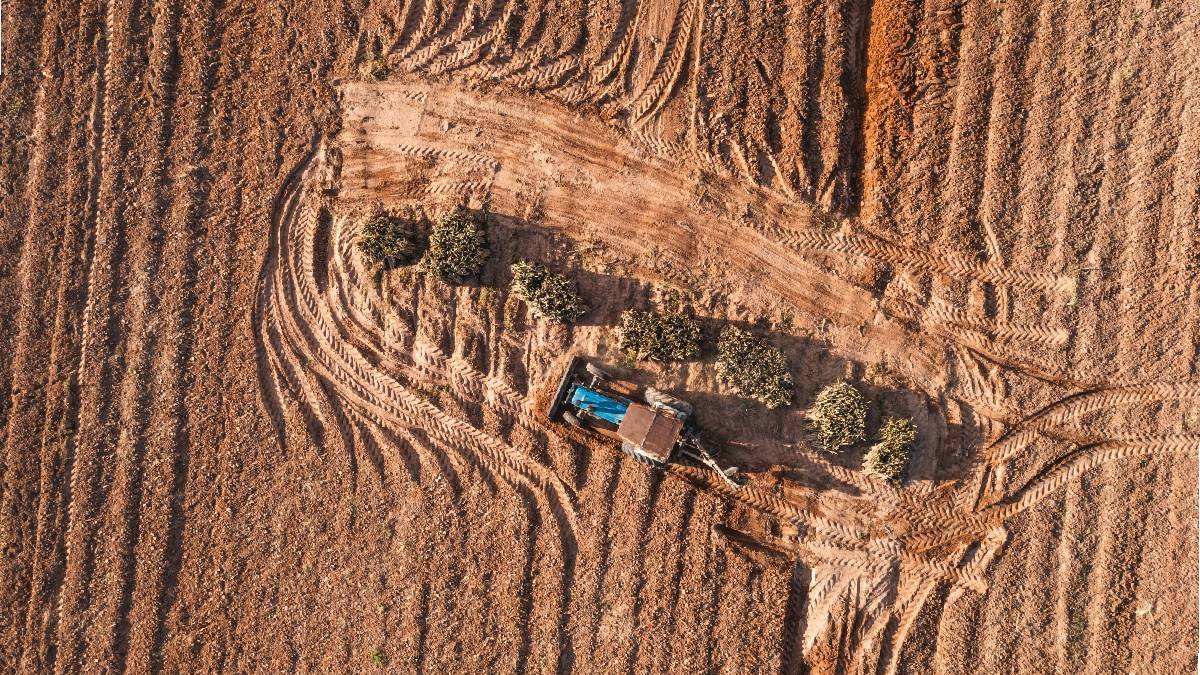 Manisa'da toprak sağlığı için uluslararası proje