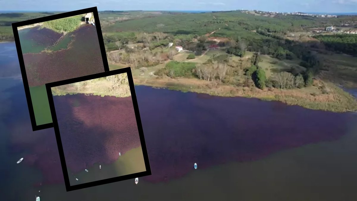 İstanbul'da doğa harikası! Sonbaharda mutlaka buraya gidin: Görüntüsü kartpostalları aratmıyor
