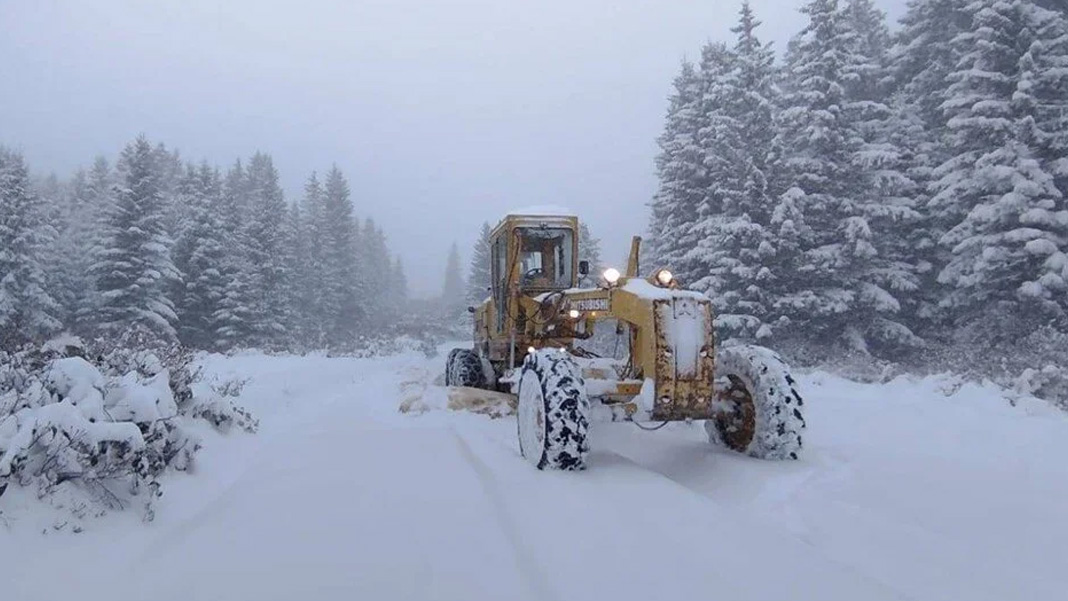 Ordu'da karda kayboldular: Mahsur kalan 4 kişi aranıyor
