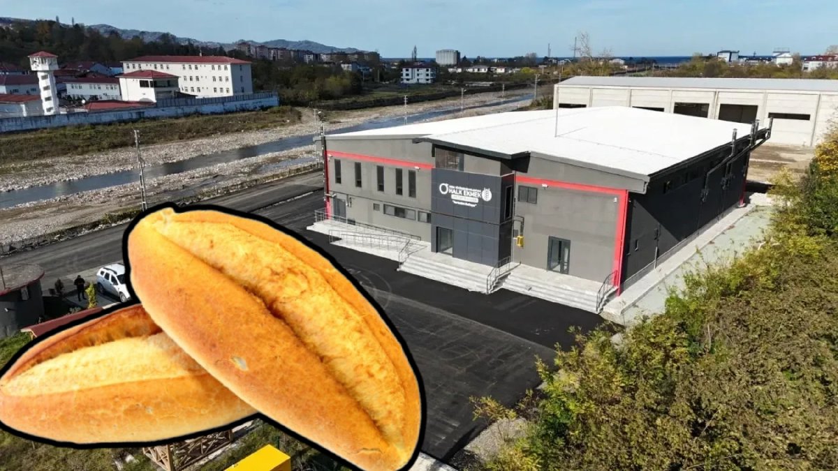 Bir ile daha halk ekmek müjdesi! 12 noktaya açılacak, herkes ucuza alacak: Ordululara tarih verildi