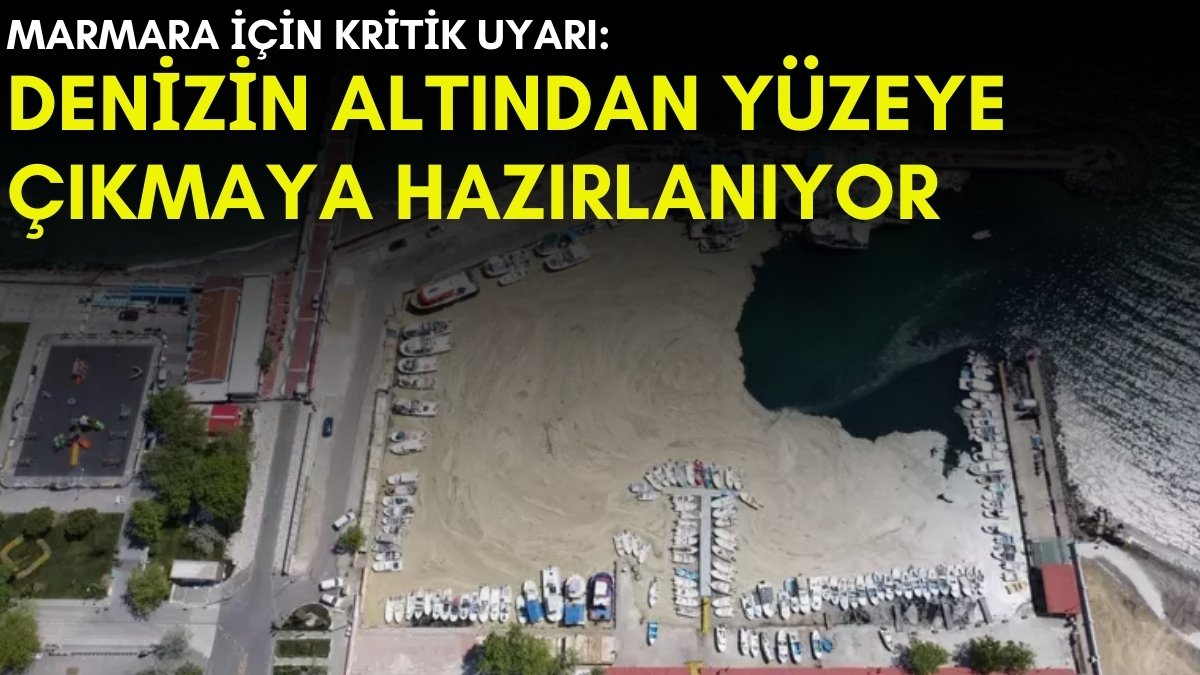 Denizin altından yüzeye çıkmaya hazırlanıyor! Prof. Dr. Tecer'den Marmara uyarısı: "Her an olabilir"
