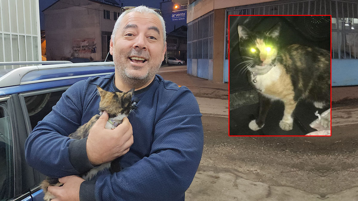 Kaybolan kedisi öyle bir yerden çıktı ki gözyaşlarını tutamadı! Evde bayram havası esti