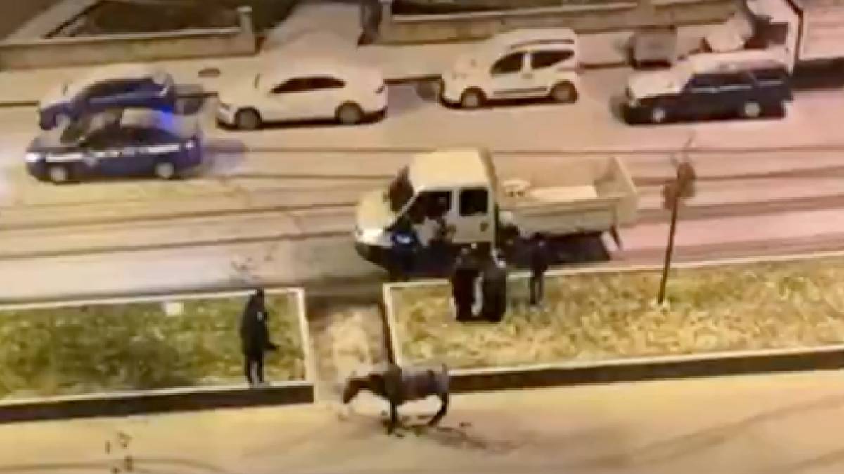 O ilimizde hayrete düşüren görüntü! At soğuktan yolun ortasında dondu... O anları böyle kaydettiler