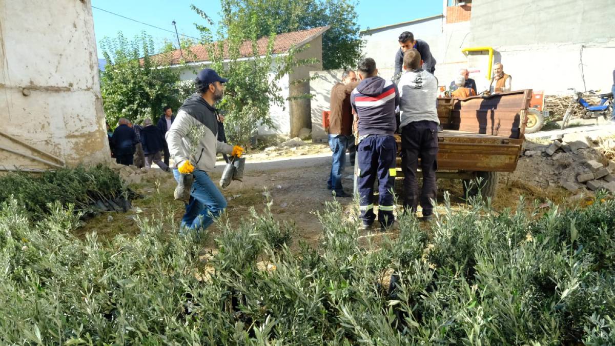 “Zeytinciliği yeniden canlandırdık”