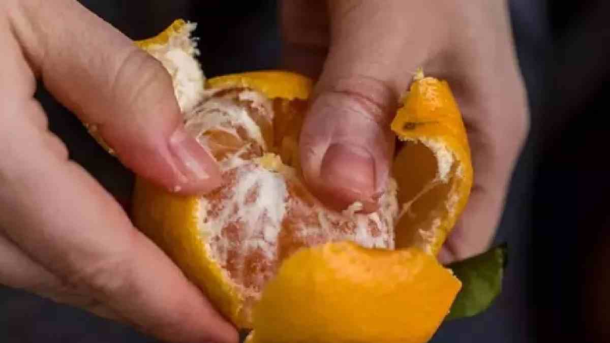 Artık mandalina da kabukları da mideye gidecek! Kabukları çöpe atmayın: Etkisini duyunca hemen deneyeceksiniz